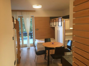 Apartma Rogla - Gaber 98